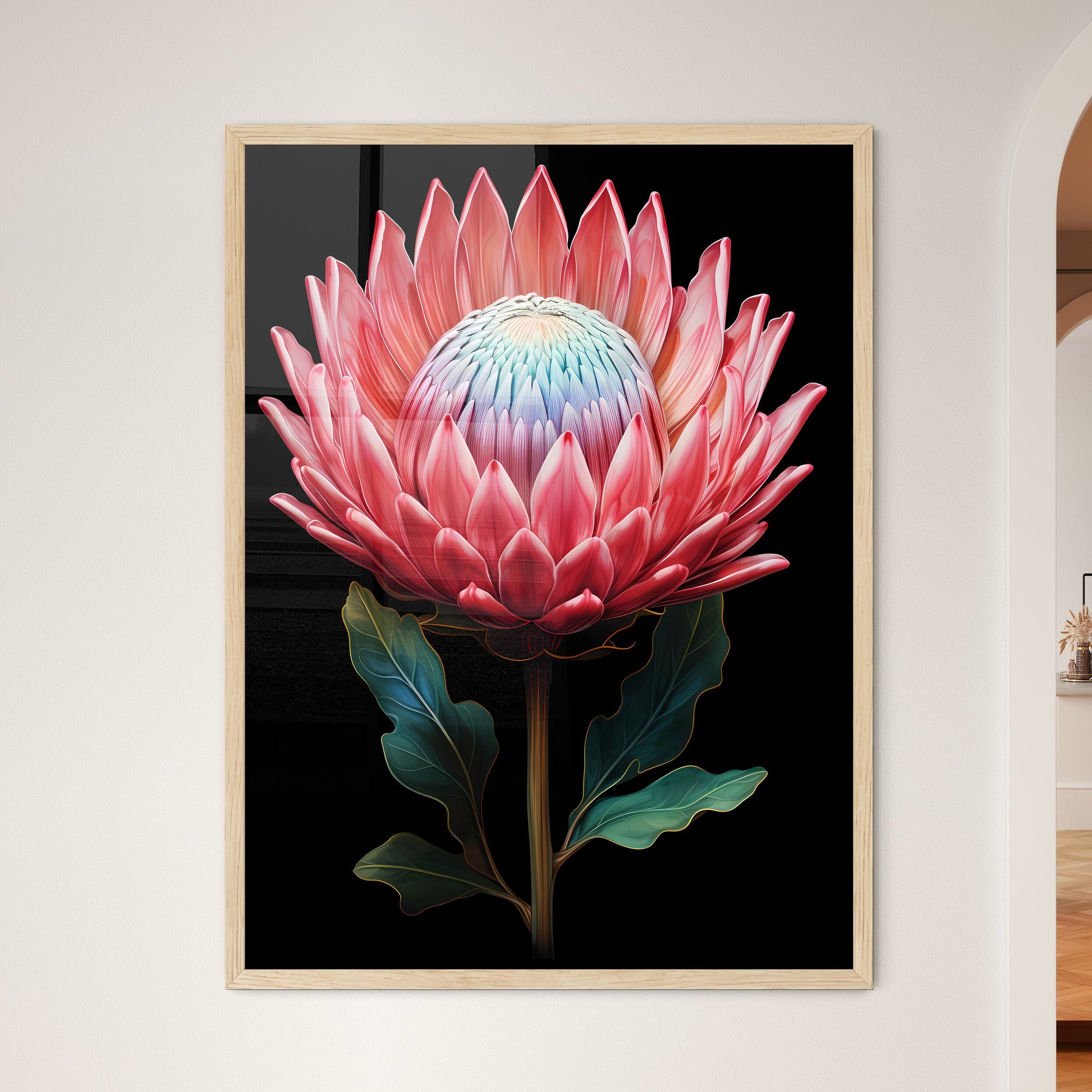 King Protea Isolated On Black Background Cen - Framed Art Print