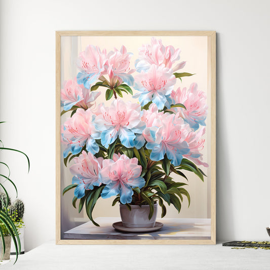 Home Plant Azalea Rhododendron Simsii On Lig - Framed Art Print