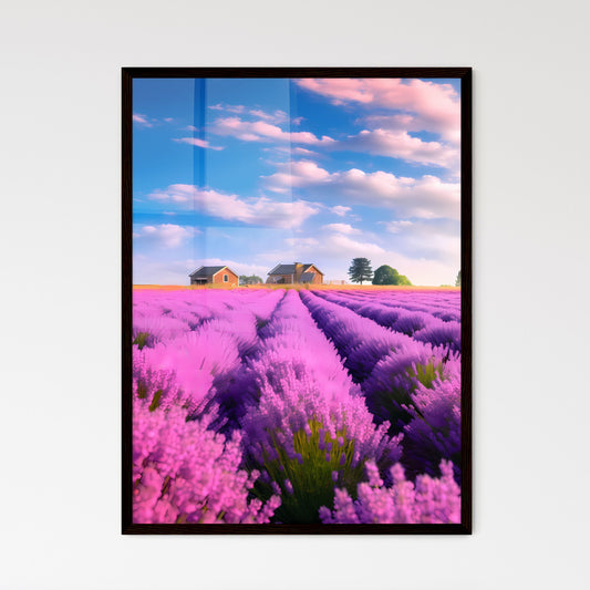 A Poster of large lavender flower sea - A Field Of Lavender With Houses In The Background Framed Art