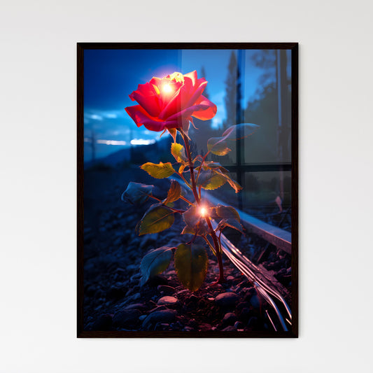 A Poster of In a quiet valley - A Rose Growi - Framed Art Print