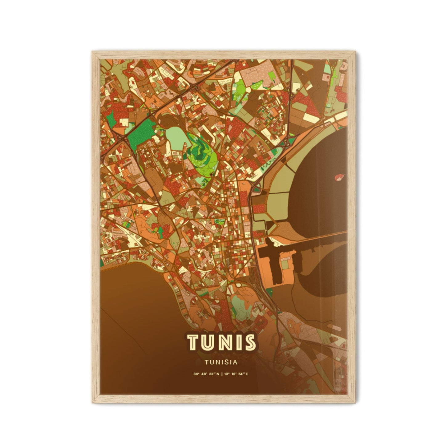 Colorful Tunis Tunisia Fine Art Map Farmhouse