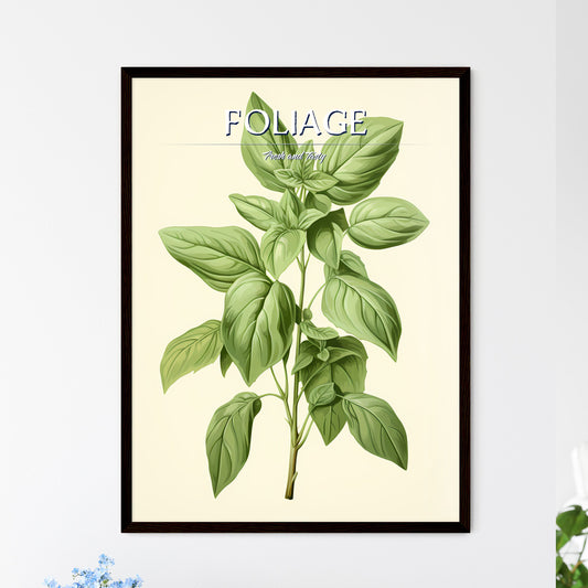 Basil - A Plant With Leaves On It Default Title