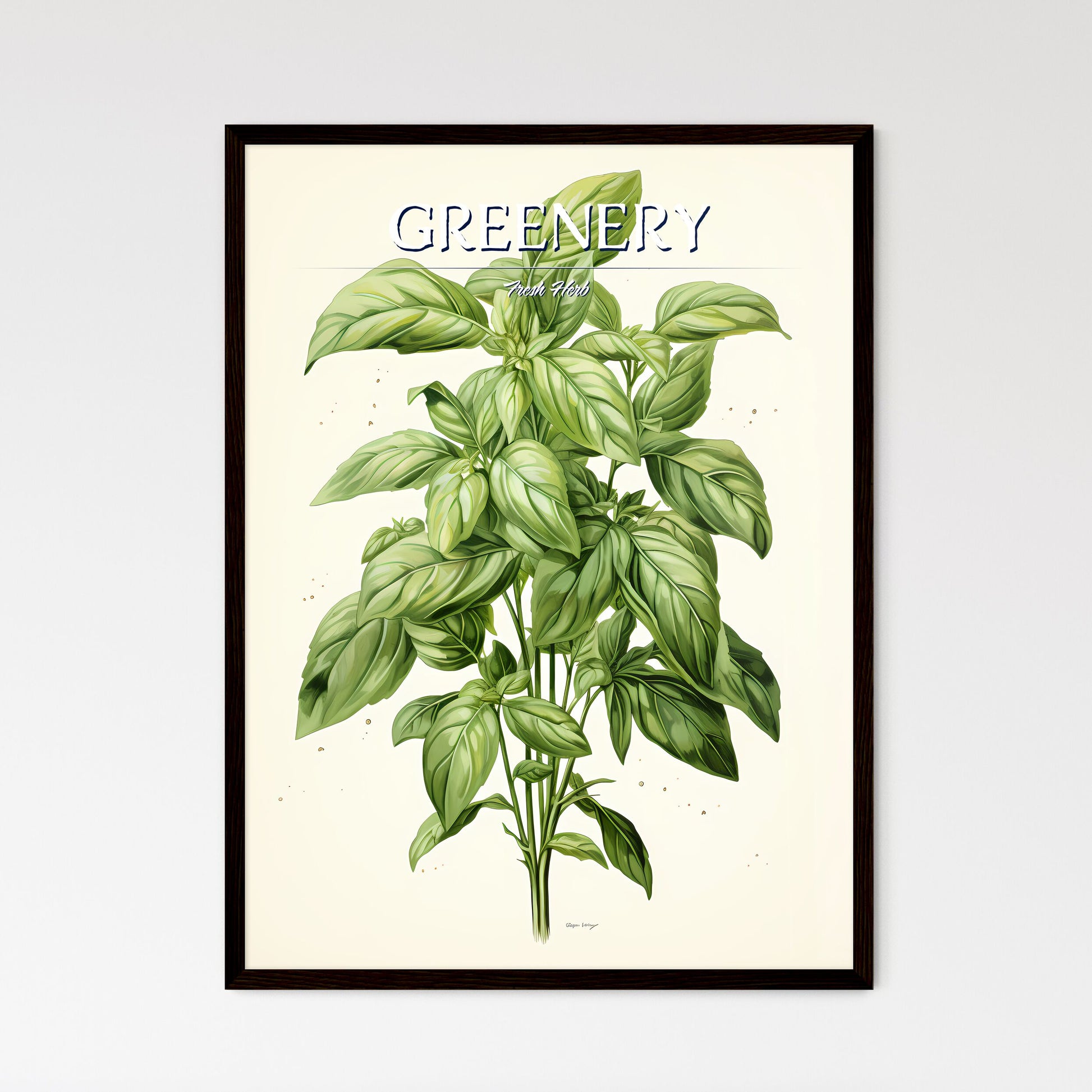 Basil - A Plant With Green Leaves Default Title