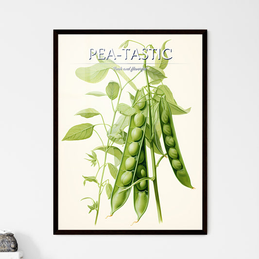 Peas - A Pea Plant With Green Leaves Default Title