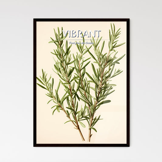 Rosemary - A Close Up Of A Plant Default Title