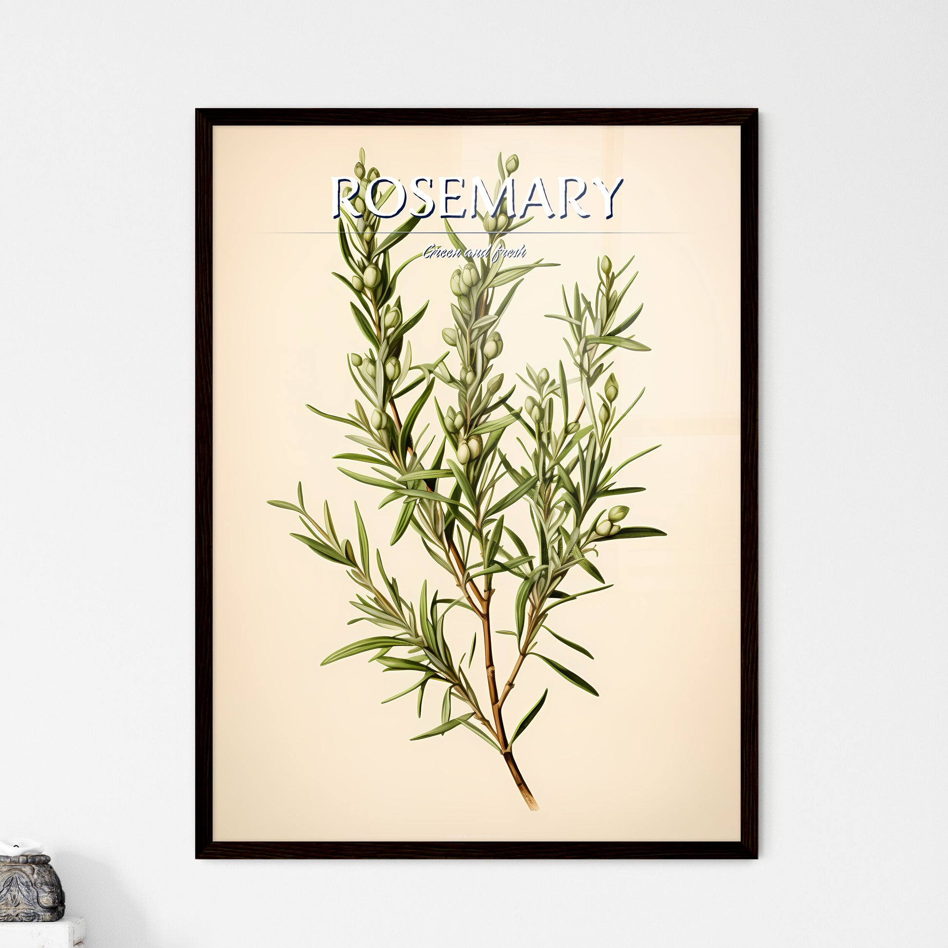 Rosemary - A Plant With Green Leaves Default Title