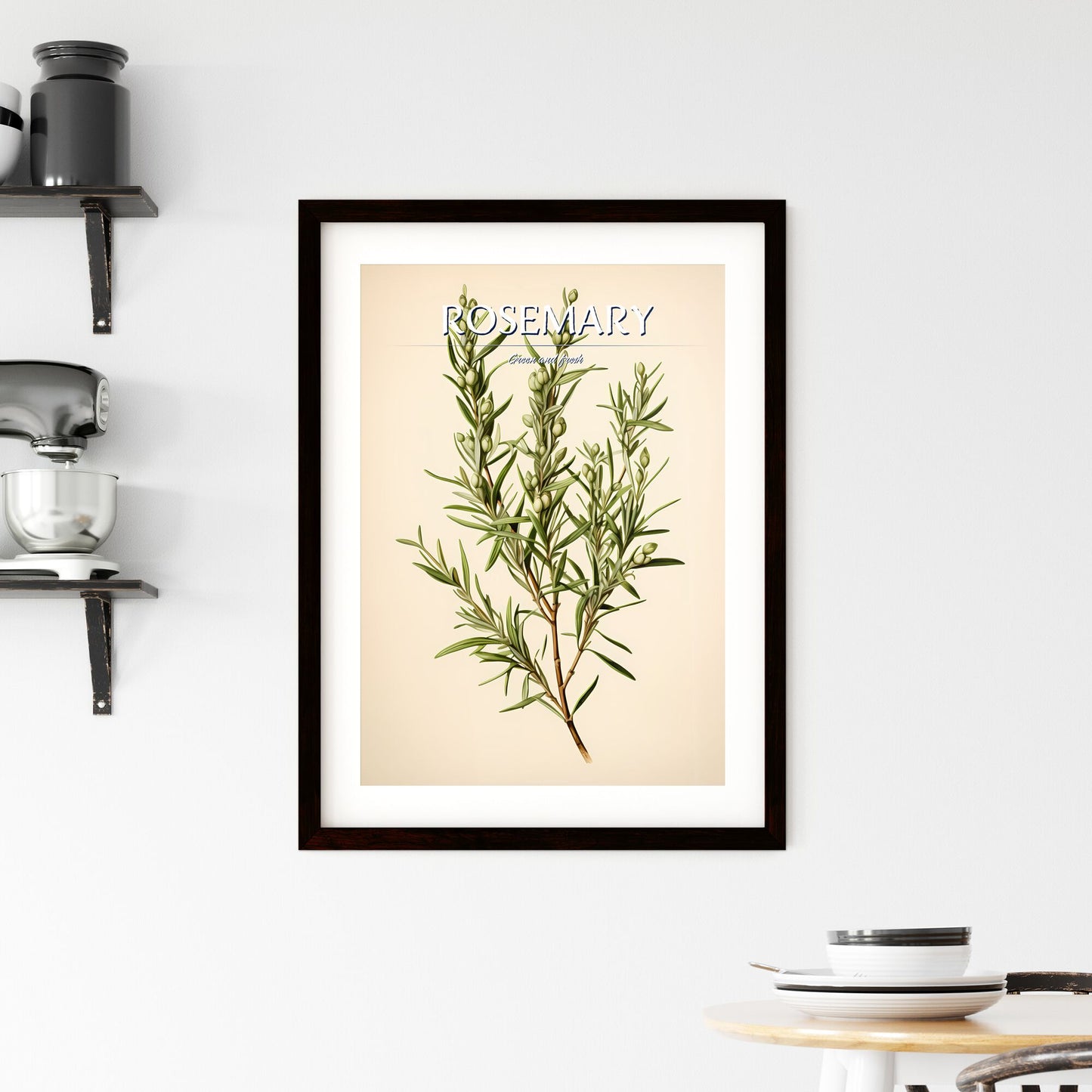 Rosemary - A Plant With Green Leaves Default Title